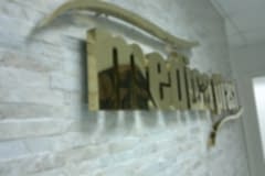 gold-paslanmaz-kutu-harf-ankara (2)