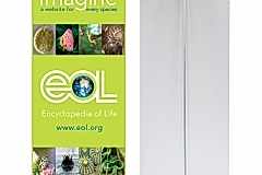 ankara-roll-up-banner-02-