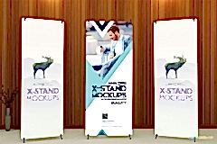ankara-xbanner-rollup-2