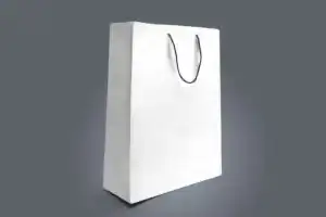 Ankara karton çanta